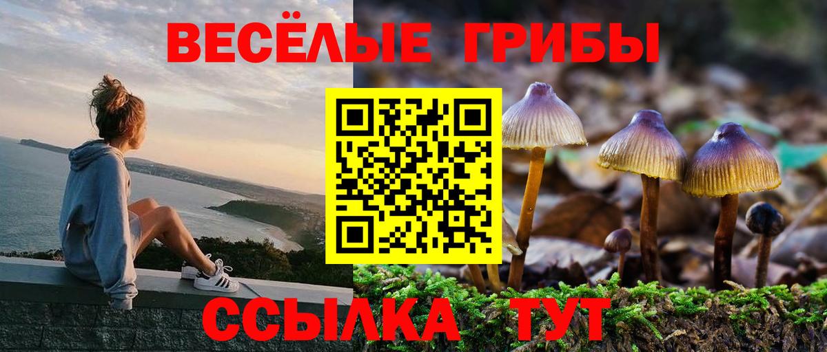 Галлюциногенные грибы Cubensis Скопин