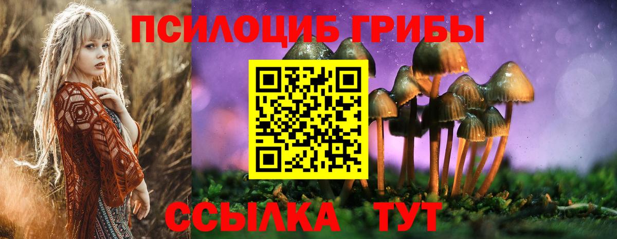 Скопин  Галлюциногенные грибы Cubensis  Вход с VPN 
